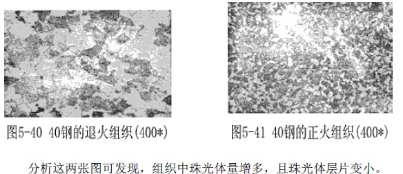 正火组织照片